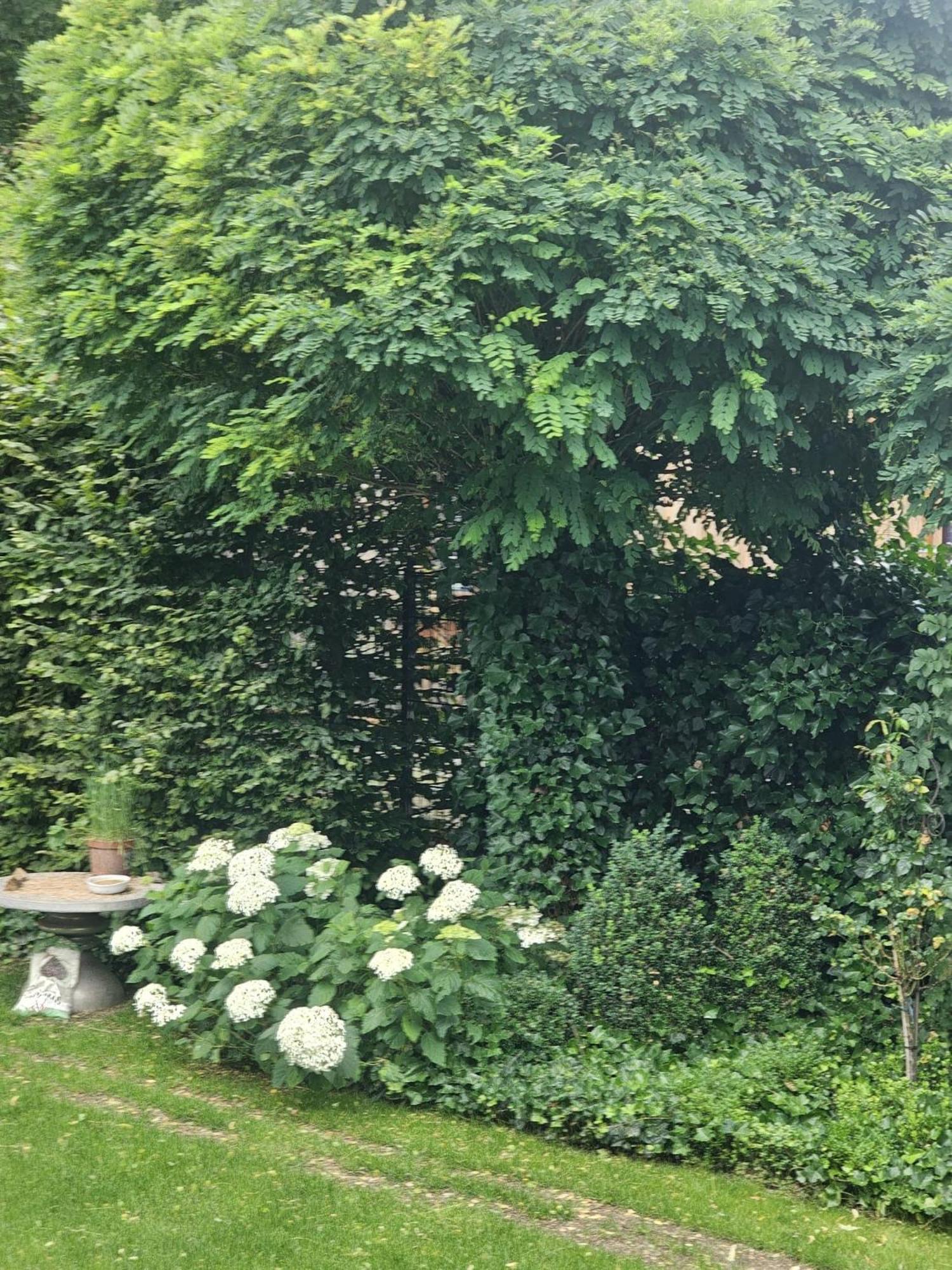 Gemuetliche Wohnung Mit Sauna Neumarkt in der Oberpfalz Buitenkant foto